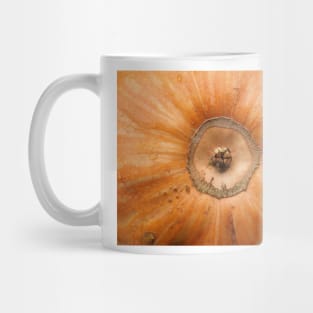 Pumpkin Close Up Mug